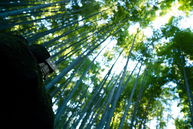 Kamakura photowalk 2012 - Bamboo monster / Takashi(aes256)